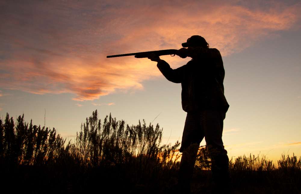 Las tierras extremeñas son bien conocidas por sus terrenos de alcornocales y bosque bajo, además de su fauna. Si quieres disfrutar de la caza en Cáceres o Badajoz, lee lo que tenemos que contarte.