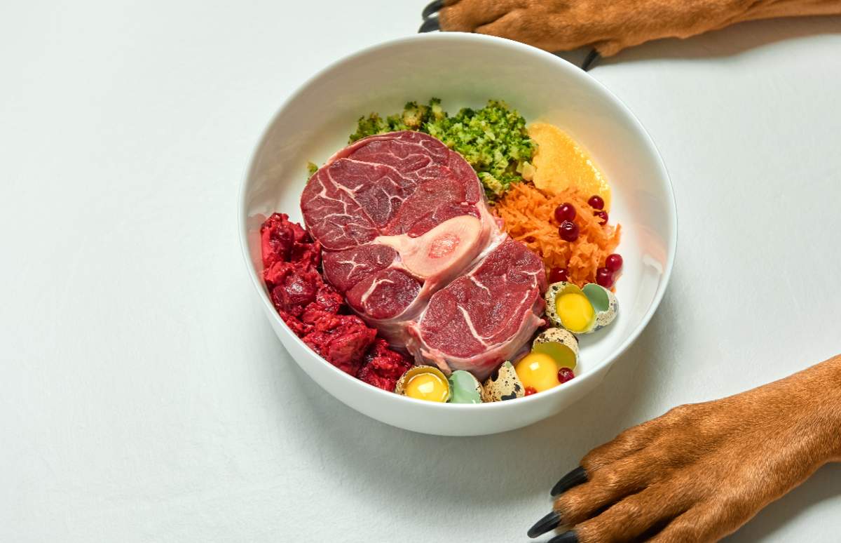 Por si no lo sabes la dieta BARF es la última tendencia en alimentación animal presta atención.