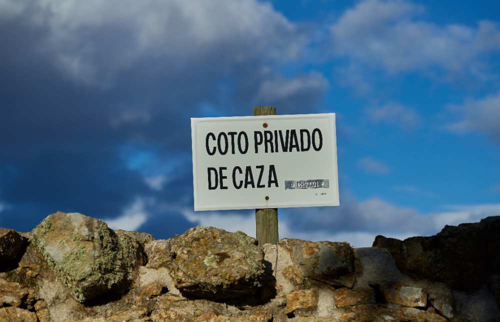 Albacete es conocida de toda la vida por sus cuchillos y navajas. ¿A que no se te había ocurrido pensar que podrías ir a cazar a alguno de sus cotos? Hoy te los presentamos.