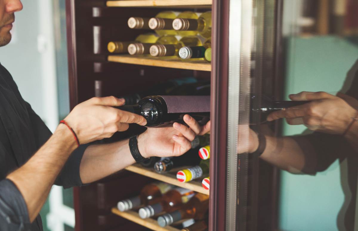 Si te gusta el vino, una vinoteca será tu compañera perfecta en casa. Disfruta de un buen vino siempre a la temperatura ideal.