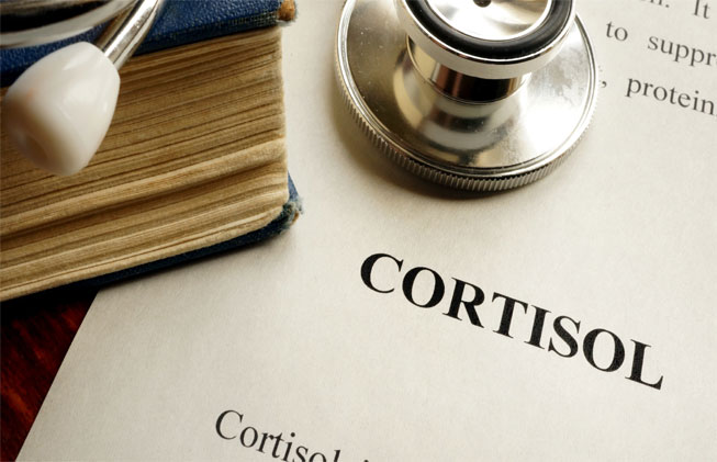 Todo sobre cortisol, la hormona del estrés